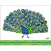Oopsy Daisy Peacock by Eric Carle Canvas Art Canvas in Blue/Green | 14 H x 18 W x 1.5 D in | Wayfair NB23496