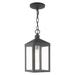 Livex Lighting Nyack 14 Inch Tall Outdoor Hanging Lantern - 20591-76