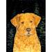 Caroline's Treasures Starry Night Chesapeake Bay Retriever 2-Sided Polyester 40 x 28 in. House Flag in Black/Orange | 40 H x 28 W in | Wayfair