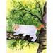 Caroline's Treasures Turkish Van Cat 2-Sided Polyester 40 x 28 in. House Flag in Black/Green/Yellow | 40 H x 28 W in | Wayfair SS8277CHF