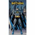 Crover Batman In The City 100% Cotton Beach Towel | Wayfair BT00044-2