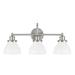 Capital Lighting Fixture Company Baxter 24 Inch 3 Light Bath Vanity Light - 8303BN-128