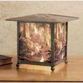 Meyda Lighting Maxfield Parrish The Glen 13 Inch Accent Lamp - 37476