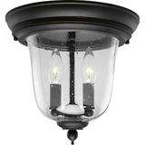 Progress Lighting Ashmore 11 Inch 2 Light Outdoor Flush Mount - P5562-31