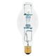 Satco 750 Watt 2100K T3 Novelty Light Bulb - S5133