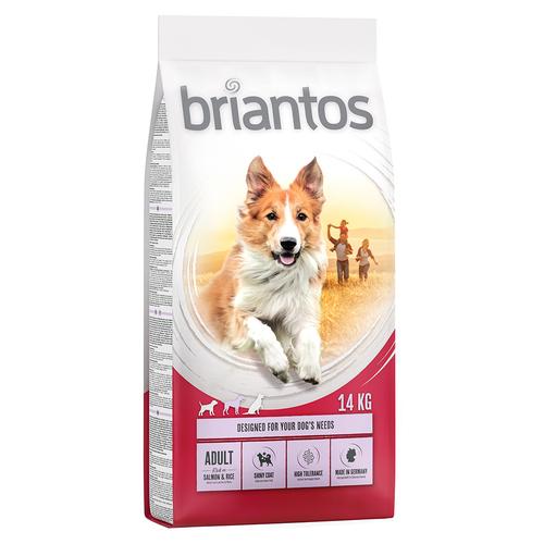 2x14kg Adult Lachs & Reis briantos Hundefutter trocken Sparpaket