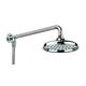 Croydex Traditional Rain Shower (Head, Arm & Hose), Stainless_Steel, Silver