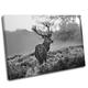 Canvas Culture - Stag Deer Landscape Canvas Art Print Box Framed Picture 28 Black & White 75 x 50cm
