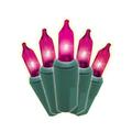 Brite Star Set of 100 Mini Christmas Lights - Green Wire in Pink | 24 H x 12.2 W x 14.6 D in | Wayfair 37-466-00