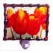 Continental Art Center Tulips Night Light Glass/Metal in Red/Yellow | 6 H x 6 W x 2 D in | Wayfair NL9801