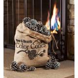 Plow & Hearth Color-Changing Fireplace Fuel | Wayfair 11879