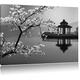 beautiful cherry black on Japanese sea / white Format: 120x80auf canvas XXL huge Pictures completely framed with stretcher, art print on mural with frame, cheaper than painting or oil painting, no poster or poster