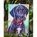Caroline's Treasures Great Dane Natural Ears Black Pup 2-Sided Garden Flag, Polyester in Blue | 15 H x 11 W in | Wayfair 7312GF
