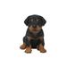 Hi-Line Gift Ltd. Sitting Rottweiler Puppy Statue in Black/Brown | 6.5 H x 4.75 W x 6.5 D in | Wayfair 87771-I