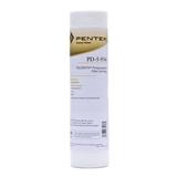 Pentek PD-5-934 Polypropylene Filter Cartridge 9-7/8 inch x 2-1/2 inch 5 Microns