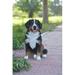 Hi-Line Gift Ltd. Bernese Mountain Dog Statue in Black/Brown | 21.5 H x 12.5 W x 20 D in | Wayfair 87750