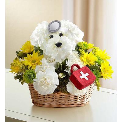 1-800-Flowers Flower Delivery Doggie Howser M. D