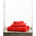 Alcott Hill® Huson 3 Piece Egyptian-Quality Cotton 800 GSM Plush Heavy Highly Absorbent Luxury Bath Towel Set Terry Cloth in Red | 30 W in | Wayfair