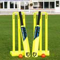 FORTRESS Garden Cricket Set - Available in 3 Sizes | Full Set or Half Set | Lightweight Cricket Equipment (Full Set, Kids (Size 2))