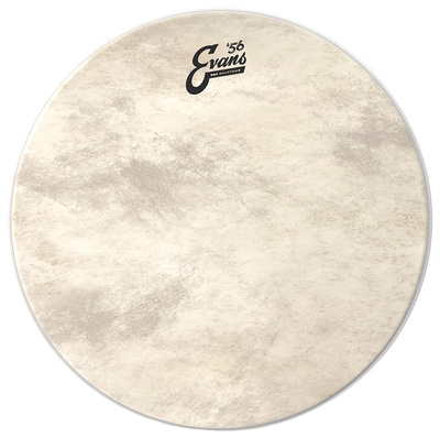 Evans 18" EQ4 Calftone Bass Drum
