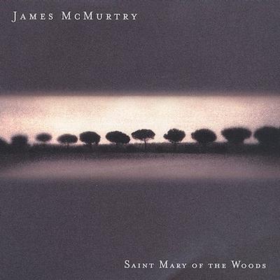 Saint Mary of the Woods by James McMurtry (CD - 09/10/2002)