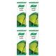 (4 PACK) - A Vogel - Ginkgo Biloba | 100ml | 4 PACK BUNDLE