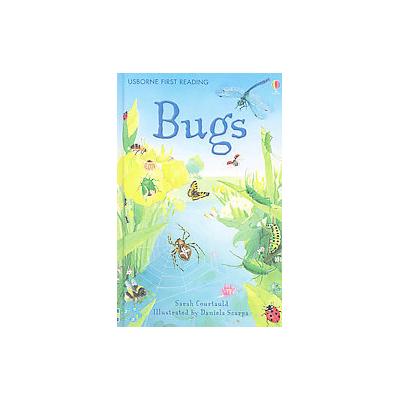 Bugs by Sarah Courtauld (Hardcover - Usborne Pub Ltd)