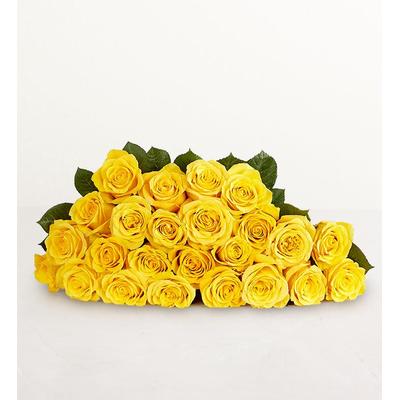 1-800-Flowers Flower Delivery Yellow Roses 24 Stems Bouquet Only | Happiness Delivered To Their Door
