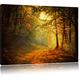 Forest, on canvas, XXL Pictures completely framed with large wedge frames, wall art print picture with frame, cheaper than painting or an oil painting, not a poster or placard, Leinwand Format:120x80 cm