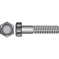 Hillman 3/8 Stainless Steel Hex Head Cap Screw