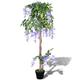 vidaXL Artificial Wisteria with Pot - 120cm Lifelike Indoor Greenery Plant, Polyester Leaves, Flower Clusters - Decorative, Low Maintenance Home or Office Décor