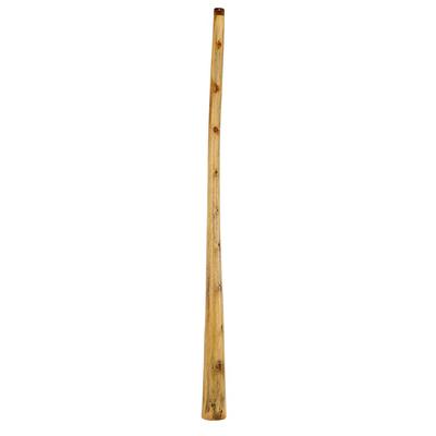 Thomann Didgeridoo Eucalyp. Proline C