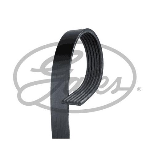 GATES Keilrippenriemen Micro-V® Stretch Fit® schwarz für FORD VOLVO 1517566 30777806 30777807 6PK1249SF