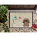 Caroline's Treasures Humboldt Christmas Presents Between Friends Pekingese Outdoor Door Mat Rubber | 18 W x 27 D in | Wayfair BB2574MAT