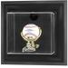 Houston Astros Black Framed Wall-Mounted Logo Baseball Display Case