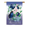 Breeze Decor Mariposas Celestes 2-Sided Polyester House Flag Metal in Gray/Blue | 40 H x 28 W in | Wayfair BD-BG-H-104073-IP-BO-DS02-US