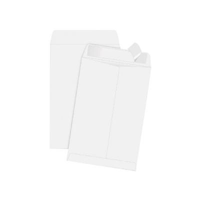 Redi-Strip Catalog Envelope - White (100 Per Box)