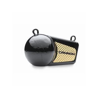 Cannon Downrigger Flash Weight