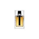 Homme - Eau de Toilette (EdT) (100ml)