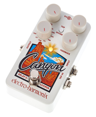 Electro Harmonix Canyon