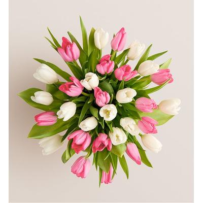 1-800-Flowers Seasonal Gift Delivery Sweet Spring Tulip Bouquet 30 Stems, Bouquet Only | Put A Smile On Their Face
