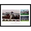 Framed Desert Orchid Montage Horse Racing 42x30cm Photo Memorabilia