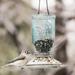 Perky Pet Mason Wild Bird Feeder Glass in Blue | 8 H x 7.5 W x 7.5 D in | Wayfair 784