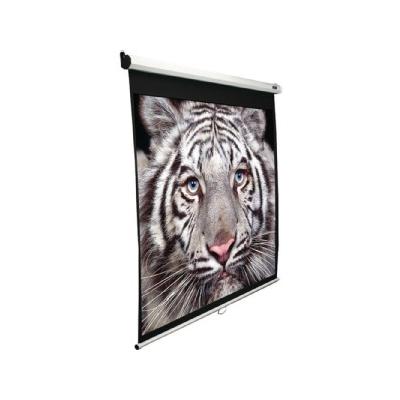 Screens B Series 71 in. H x 71 in. W Manual Projection Screen with White Case M100S