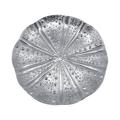 Mariposa Seaside Aluminum Abstract Modern & Contemporary Decorative Plate in Silver Aluminum in Gray | 2.24 H x 17 W x 17 D in | Wayfair 3447