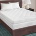 Alwyn Home Holden Waterproof Sofa Bed Mattress Pad Polyester | 72 H x 60 W in | Wayfair ANEW1137 37377671