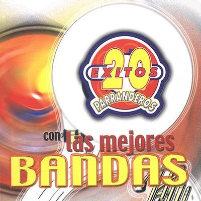 20 Exitos Parranderos by Various Artists (CD - 02/11/2003)