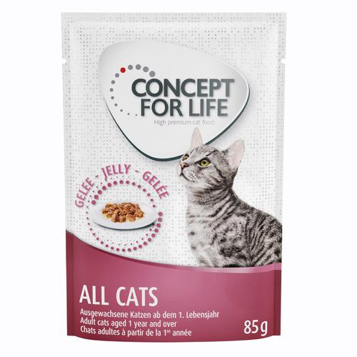 12 x 85g All Cats in Gelee Concept for Life Katzenfutter nass