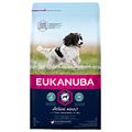 Eukanuba Adult Trockenfutter für mittelgroße Rassen/Hundefutter mit neuer und verbesserter Rezeptur für ausgewachsene Hunde im Alter von 1-7 Jahren in der Geschmacksrichtung Huhn/1 x 3kg Beutel