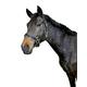 Kerbl Halfter Eco Warmblut, Leder Schwarz, 32257